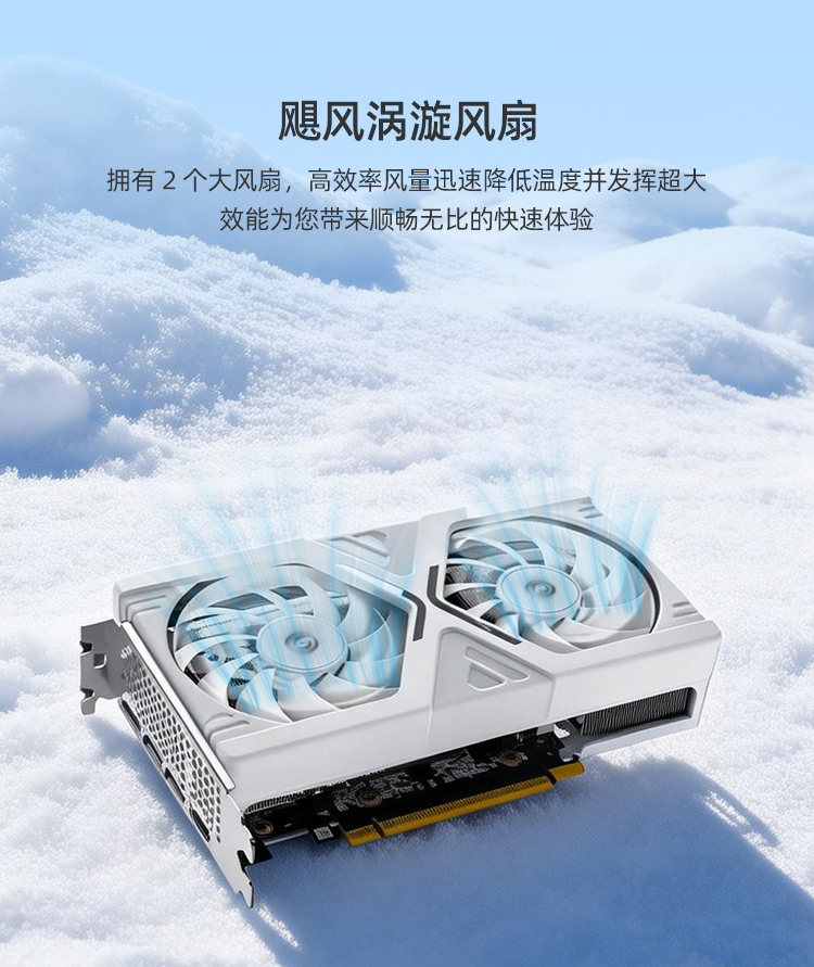 WinFast RTX 5060 8GB