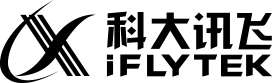 Customer 15